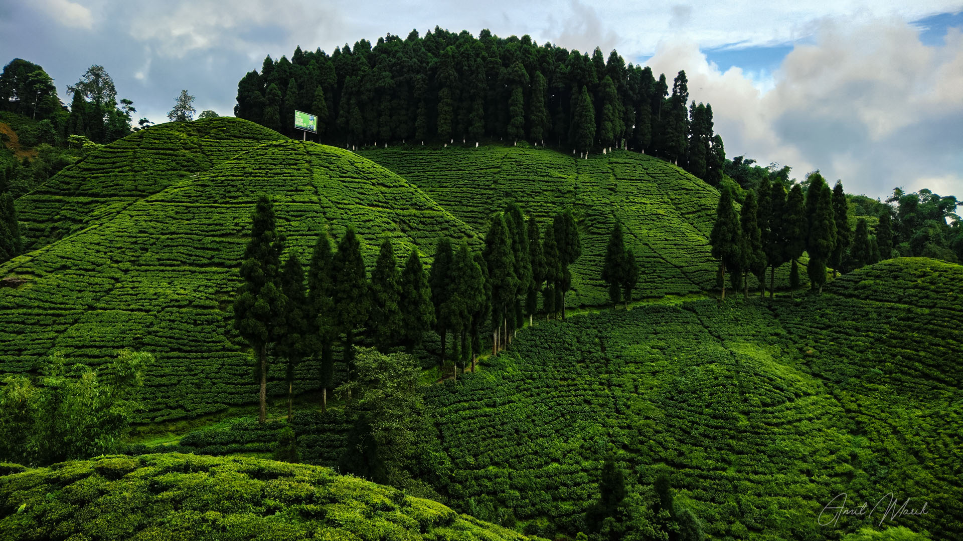 Odisha
